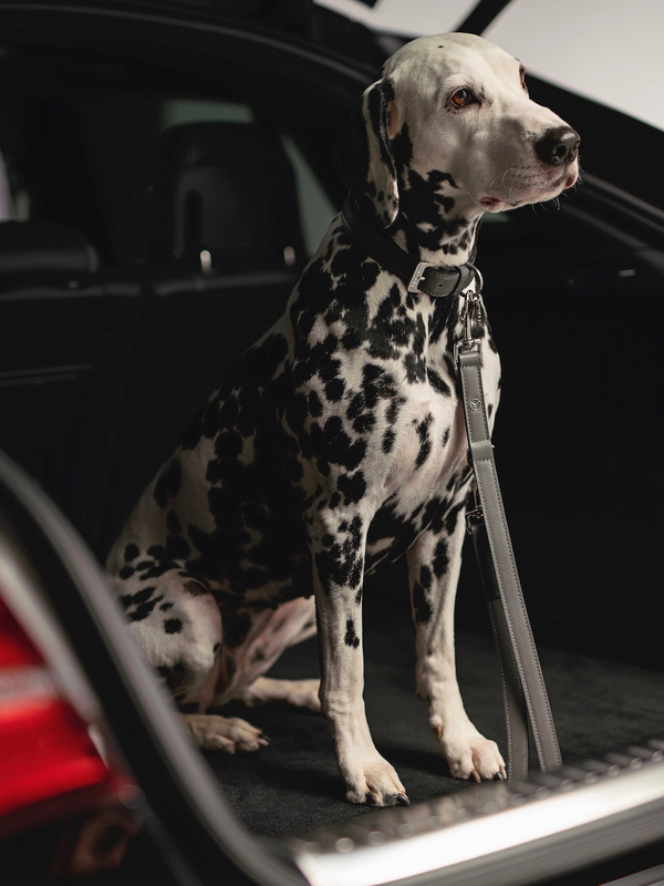 Autohaus-Spielvogel Mercedes-Benz Hundesicherung Zubehör